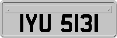 IYU5131
