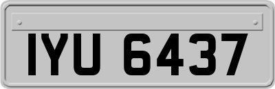 IYU6437