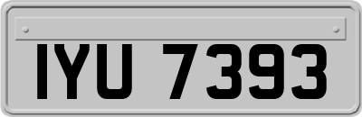 IYU7393