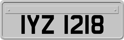IYZ1218