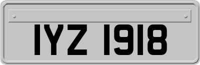 IYZ1918