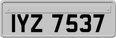 IYZ7537
