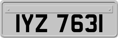 IYZ7631