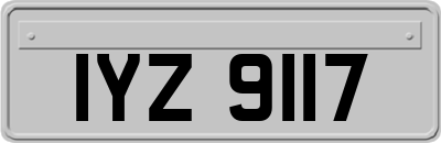 IYZ9117
