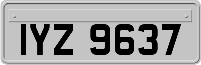 IYZ9637