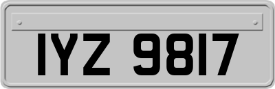 IYZ9817