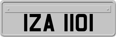 IZA1101