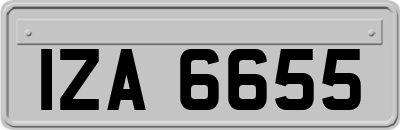 IZA6655