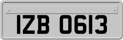 IZB0613