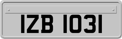 IZB1031