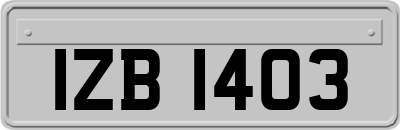 IZB1403