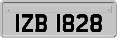 IZB1828