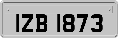 IZB1873