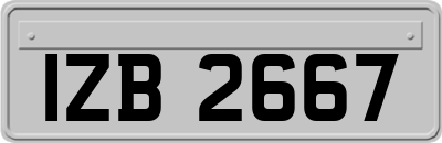 IZB2667