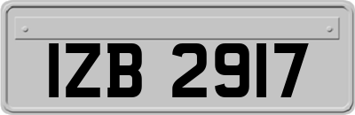 IZB2917