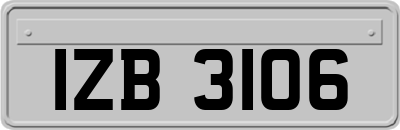 IZB3106