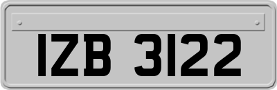 IZB3122