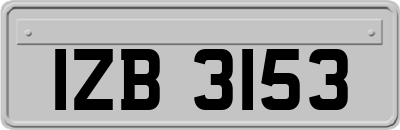 IZB3153