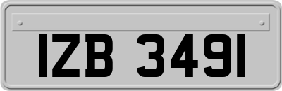 IZB3491