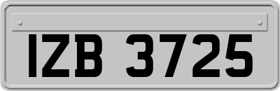 IZB3725