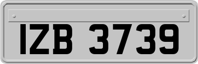 IZB3739