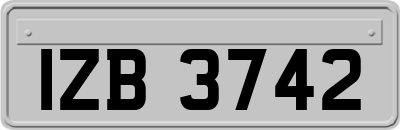 IZB3742