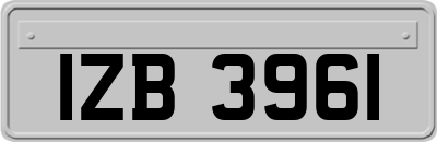 IZB3961