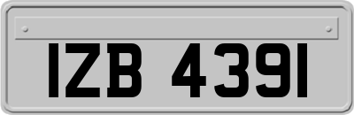 IZB4391