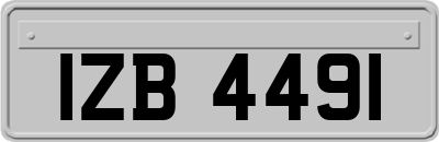IZB4491