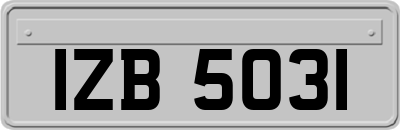 IZB5031
