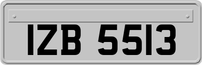 IZB5513