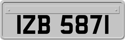 IZB5871