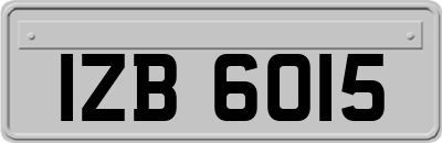 IZB6015
