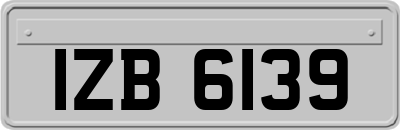 IZB6139