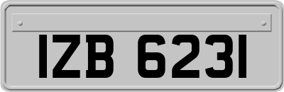 IZB6231
