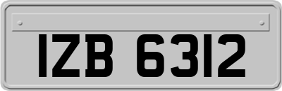 IZB6312