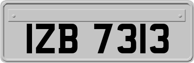 IZB7313