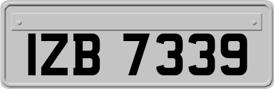 IZB7339