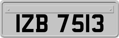 IZB7513