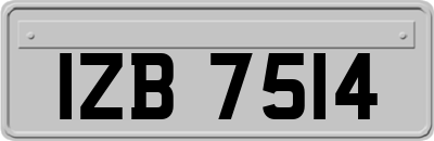 IZB7514