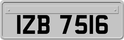 IZB7516