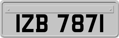 IZB7871