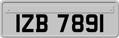 IZB7891