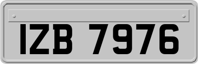 IZB7976