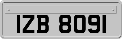 IZB8091