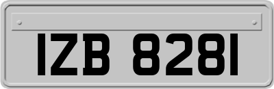 IZB8281