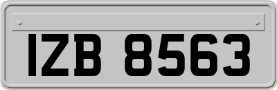 IZB8563