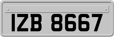 IZB8667