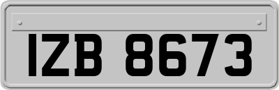 IZB8673