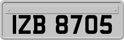 IZB8705